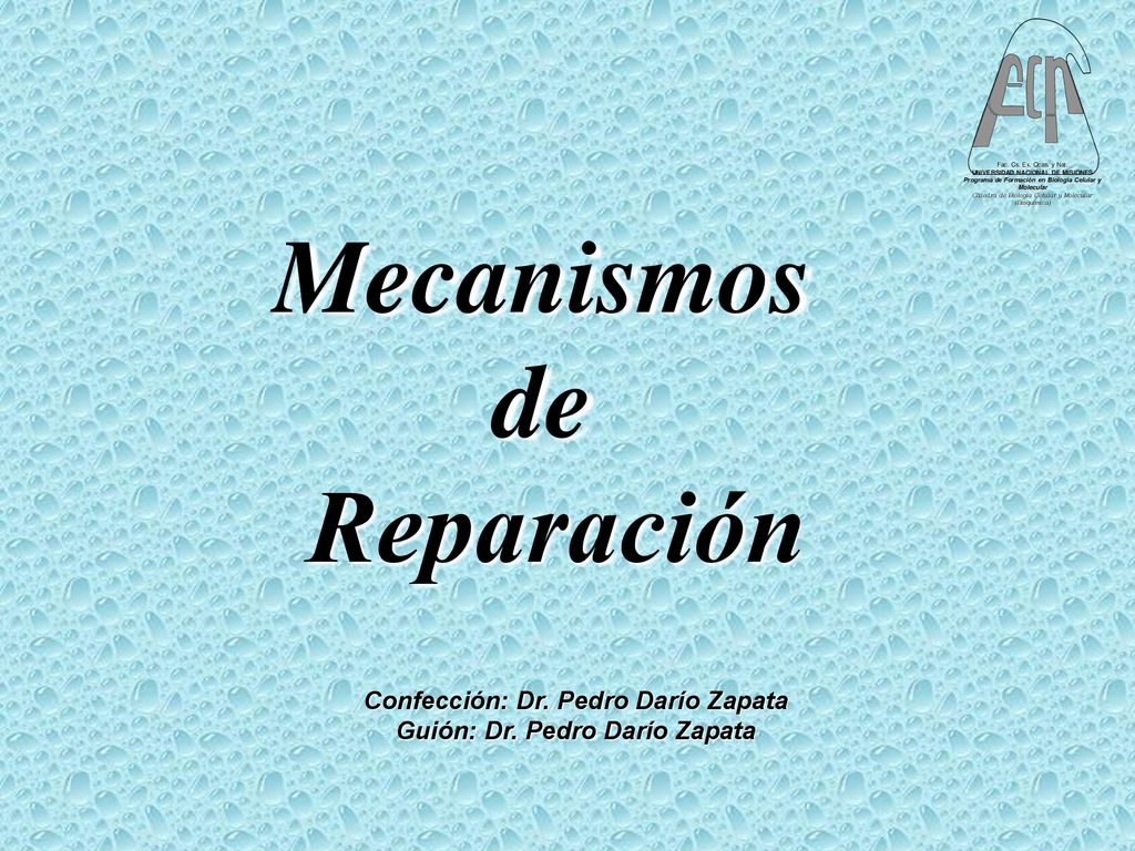 Confección: Dr. Pedro Darío Zapata Guión: Dr. Pedro Darío Zapata