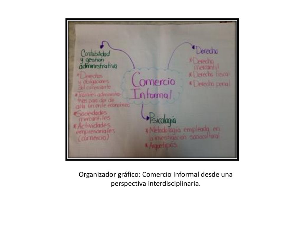 Organizador gráfico: Comercio Informal desde una perspectiva interdisciplinaria.