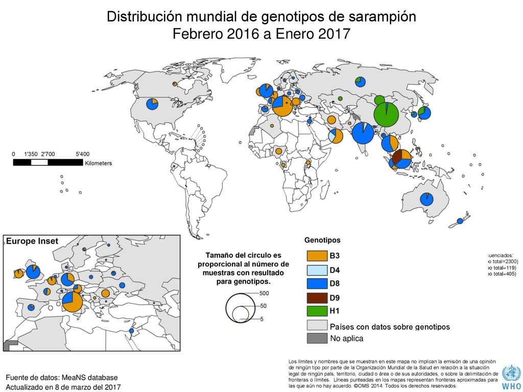 Distribución mundial de genotipos de sarampión Febrero 2016 a Enero 2017