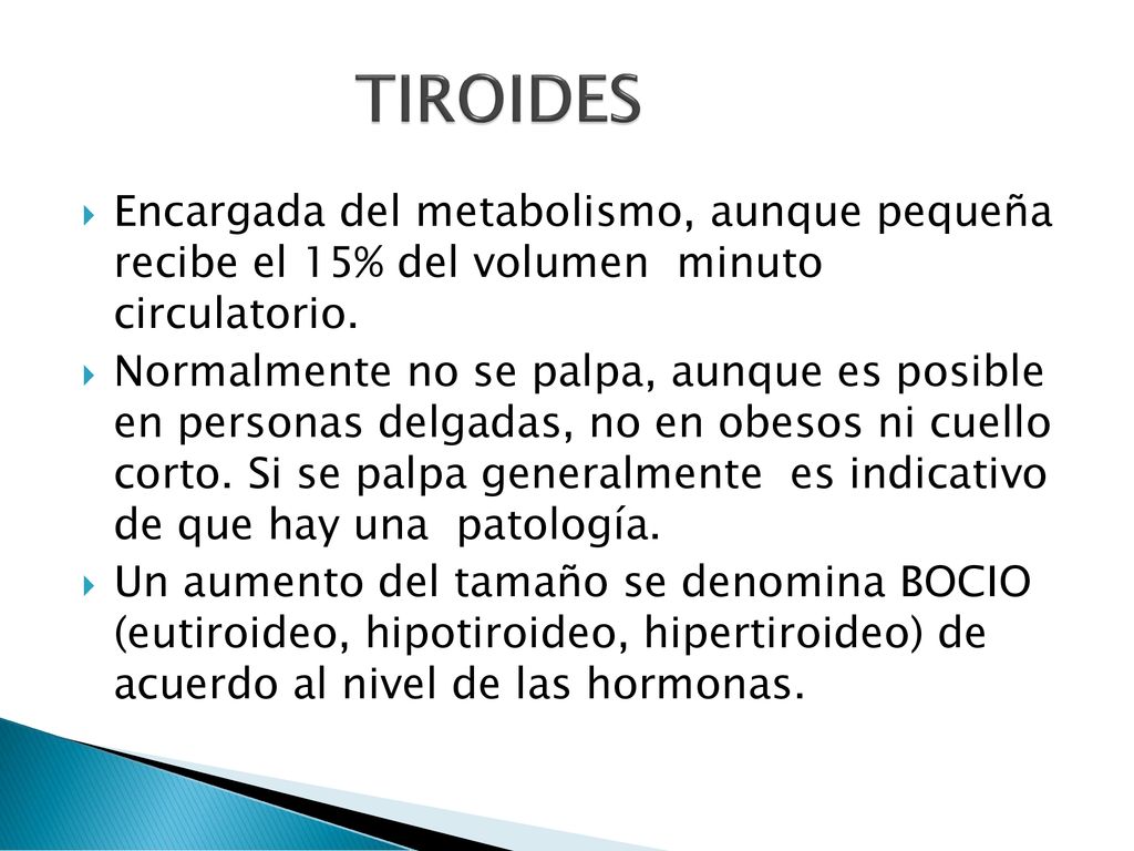 TIROIDES Encargada del metabolismo, aunque pequeña recibe el 15% del volumen minuto circulatorio.