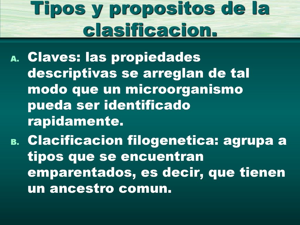 Tipos y propositos de la clasificacion.
