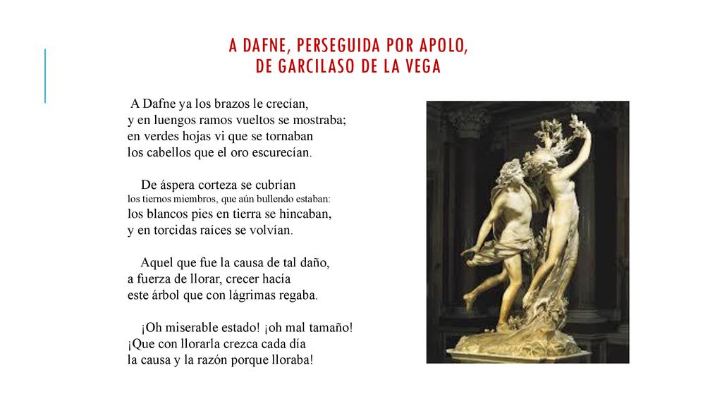 A DAFNE, PERSEGUIDA POR APOLO, de Garcilaso de la vega