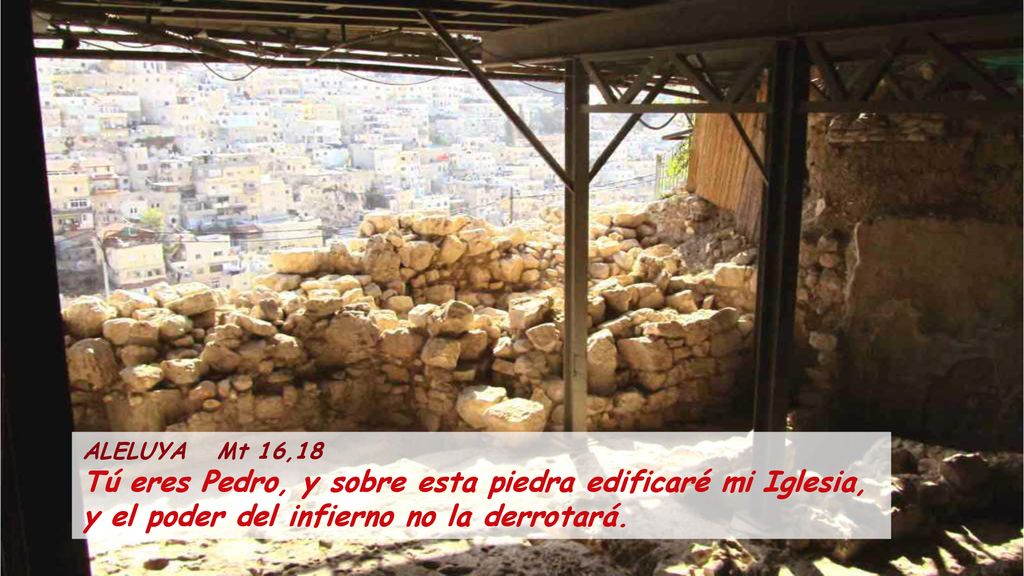 ALELUYA Mt 16,18 Tú eres Pedro, y sobre esta piedra edificaré mi Iglesia, y el poder del infierno no la derrotará.