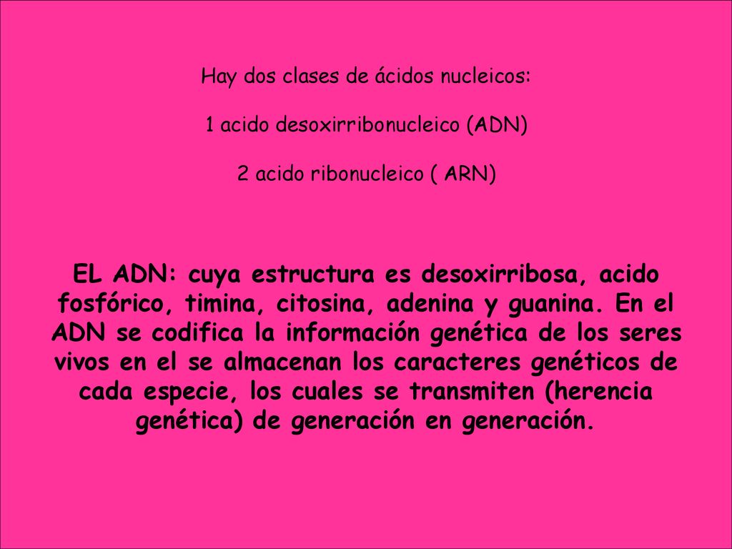 Hay dos clases de ácidos nucleicos: 1 acido desoxirribonucleico (ADN) 2 acido ribonucleico ( ARN) EL ADN: cuya estructura es desoxirribosa, acido fosfórico, timina, citosina, adenina y guanina.