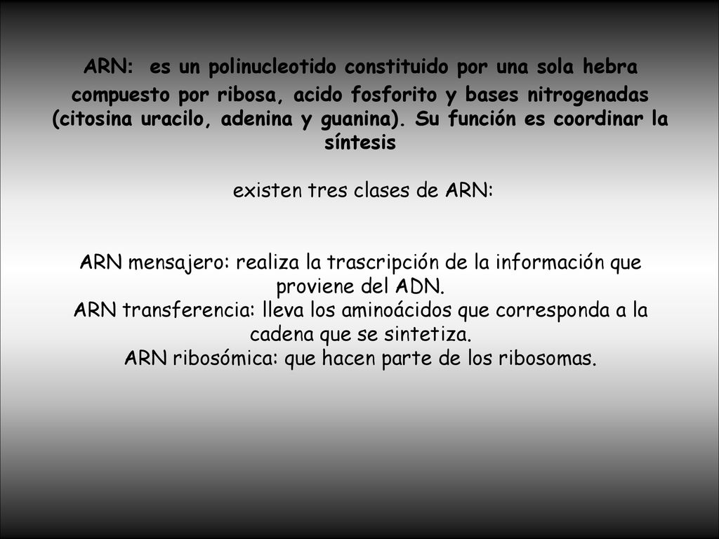 ARN: es un polinucleotido constituido por una sola hebra compuesto por ribosa, acido fosforito y bases nitrogenadas (citosina uracilo, adenina y guanina).
