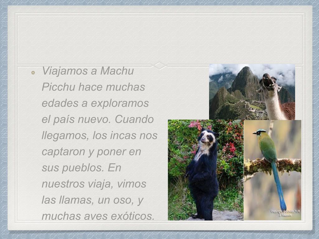 Viajamos a Machu Picchu hace muchas edades a exploramos el país nuevo