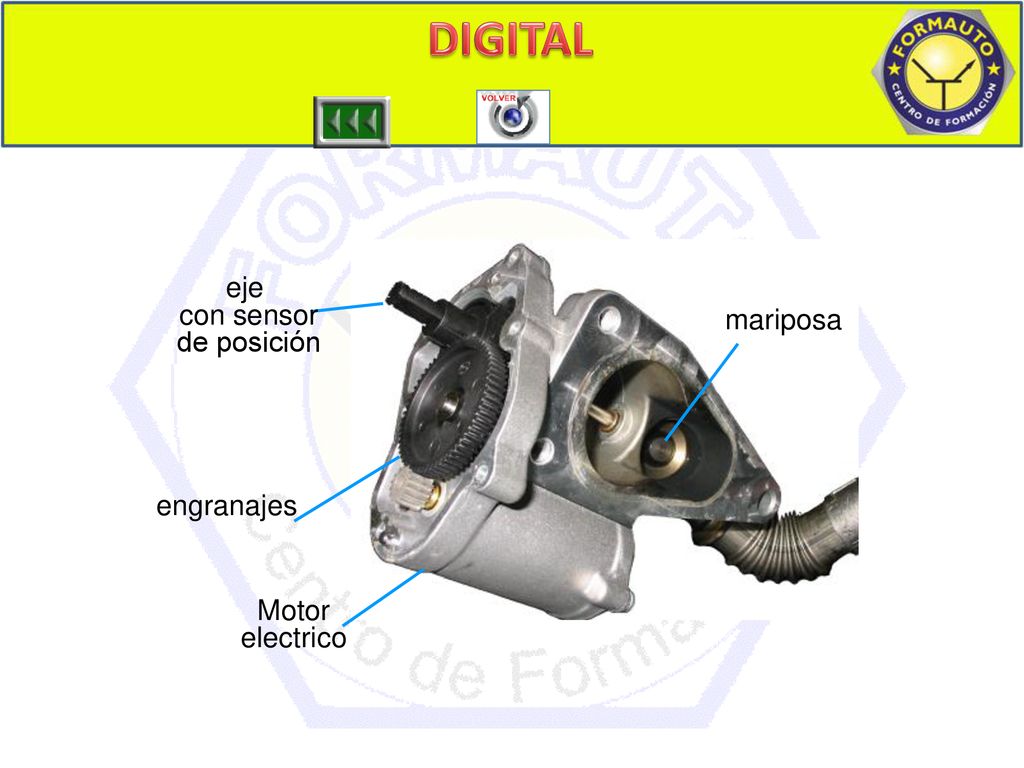 DIGITAL eje con sensor de posición mariposa engranajes Motor electrico
