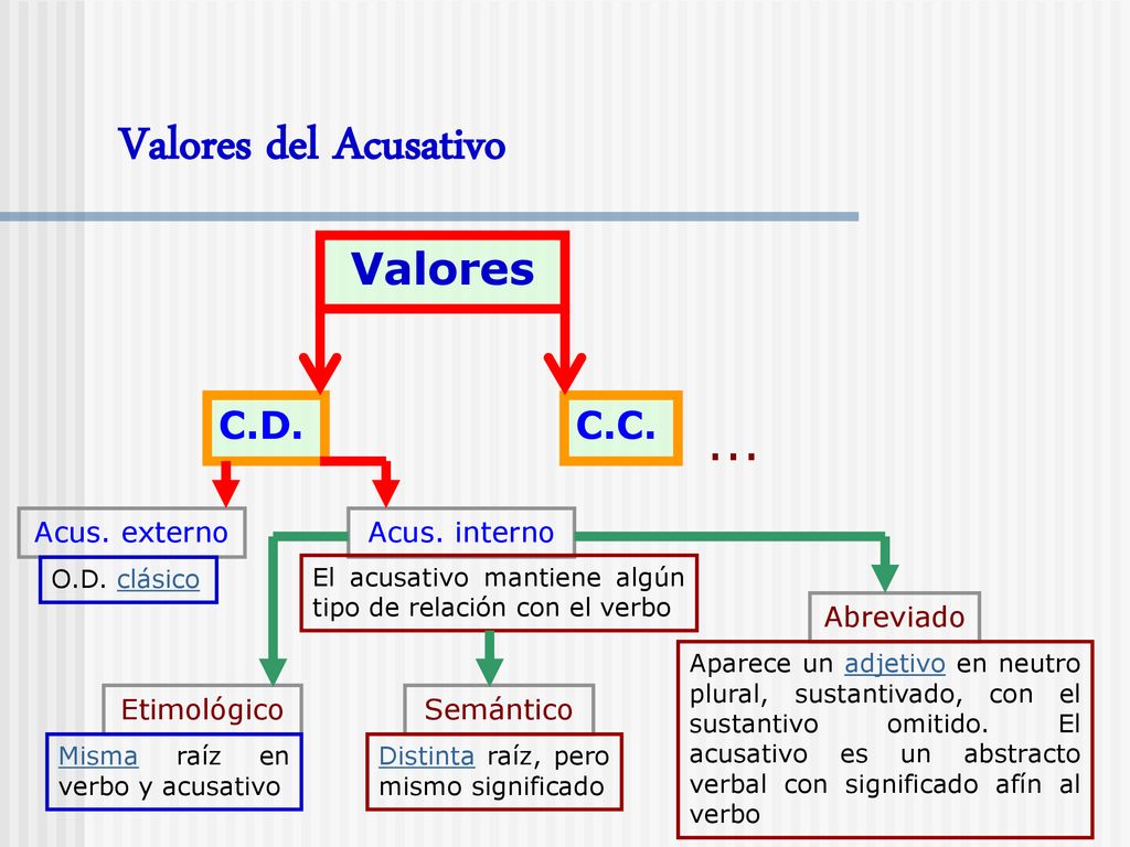 Valores del Acusativo ... Valores C.D. C.C. Acus. externo