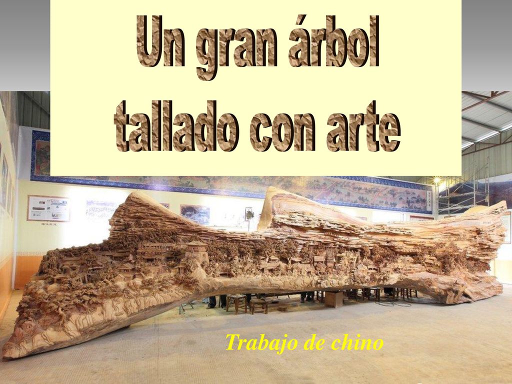 Un gran árbol tallado con arte Trabajo de chino