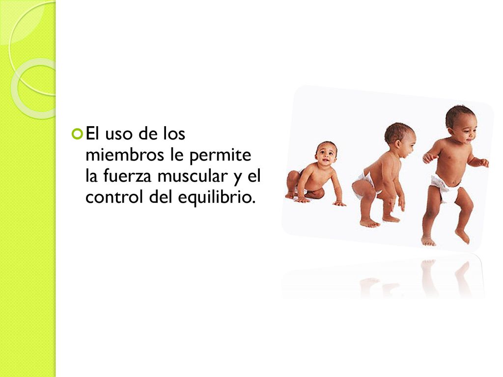 El uso de los miembros le permite la fuerza muscular y el control del equilibrio.