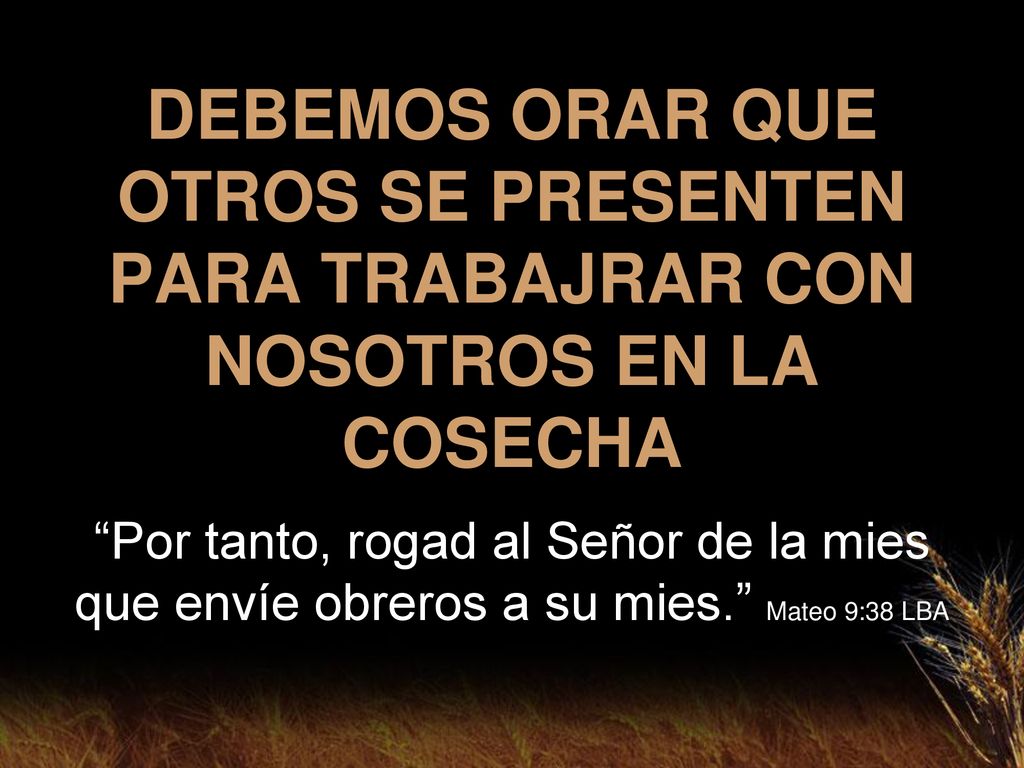 DEBEMOS ORAR QUE OTROS SE PRESENTEN PARA TRABAJRAR CON NOSOTROS EN LA COSECHA