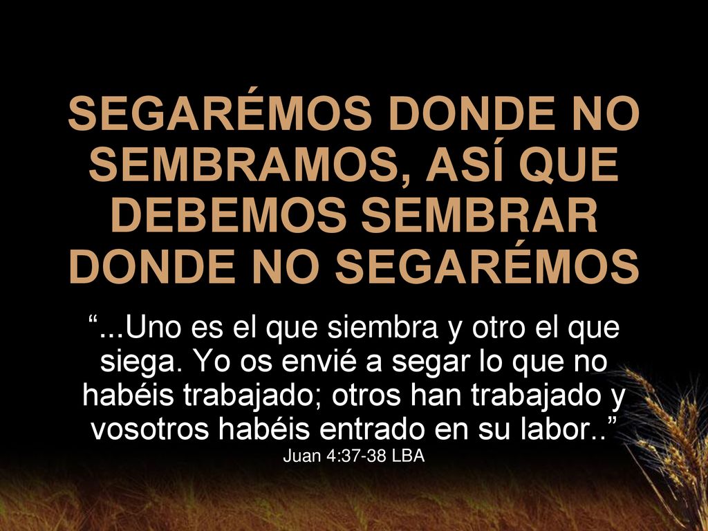 SEGARÉMOS DONDE NO SEMBRAMOS, ASÍ QUE DEBEMOS SEMBRAR DONDE NO SEGARÉMOS
