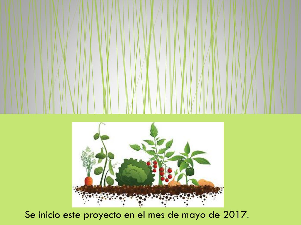 Se inicio este proyecto en el mes de mayo de 2017.