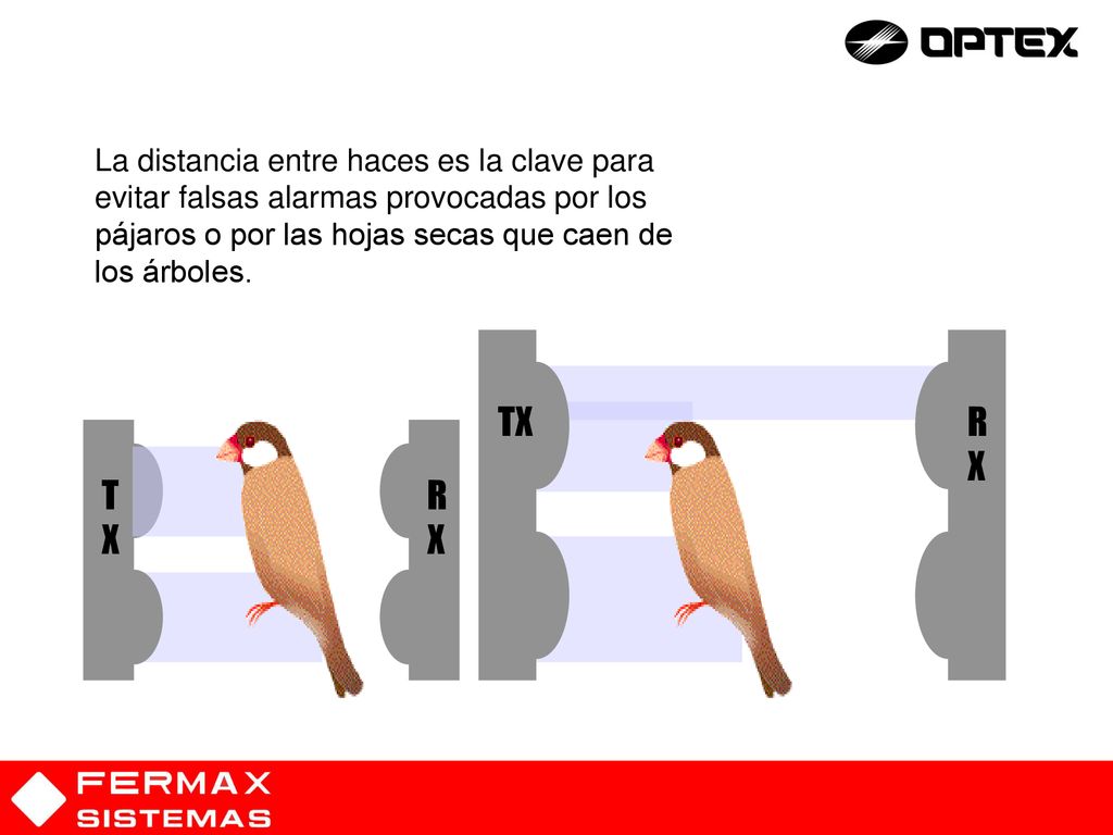 La distancia entre haces es la clave para evitar falsas alarmas provocadas por los pájaros o por las hojas secas que caen de los árboles.