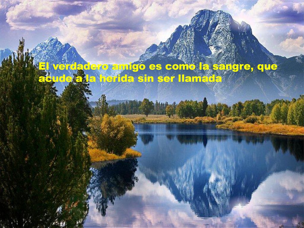 El verdadero amigo es como la sangre, que acude a la herida sin ser llamada