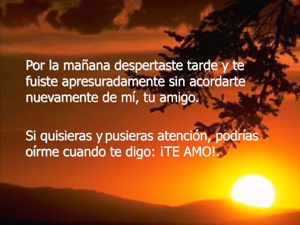 Por la mañana despertaste tarde y te fuiste apresuradamente sin acordarte nuevamente de mí, tu amigo.