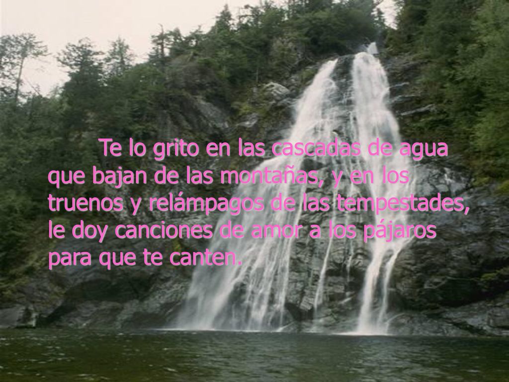 Te lo grito en las cascadas de agua que bajan de las montañas, y en los truenos y relámpagos de las tempestades, le doy canciones de amor a los pájaros para que te canten.