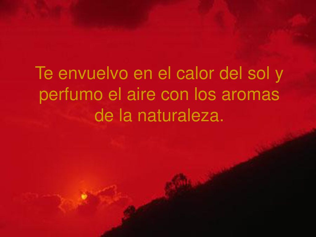 Te envuelvo en el calor del sol y perfumo el aire con los aromas de la naturaleza.
