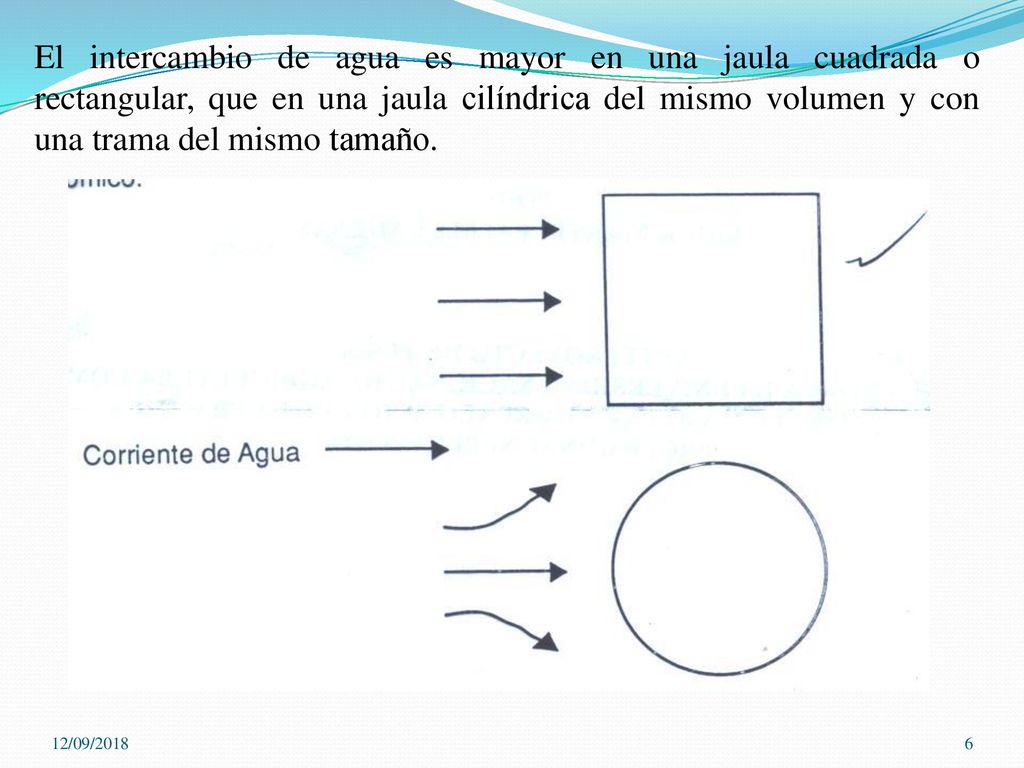 El intercambio de agua es mayor en una jaula cuadrada o rectangular, que en una jaula cilíndrica del mismo volumen y con una trama del mismo tamaño.