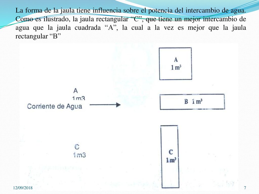 La forma de la jaula tiene influencia sobre el potencia del intercambio de agua. Como es ilustrado, la jaula rectangular C , que tiene un mejor intercambio de agua que la jaula cuadrada A , la cual a la vez es mejor que la jaula rectangular B