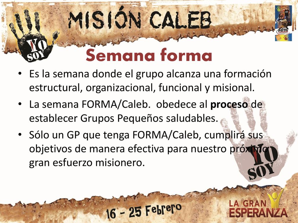 Semana forma Es la semana donde el grupo alcanza una formación estructural, organizacional, funcional y misional.