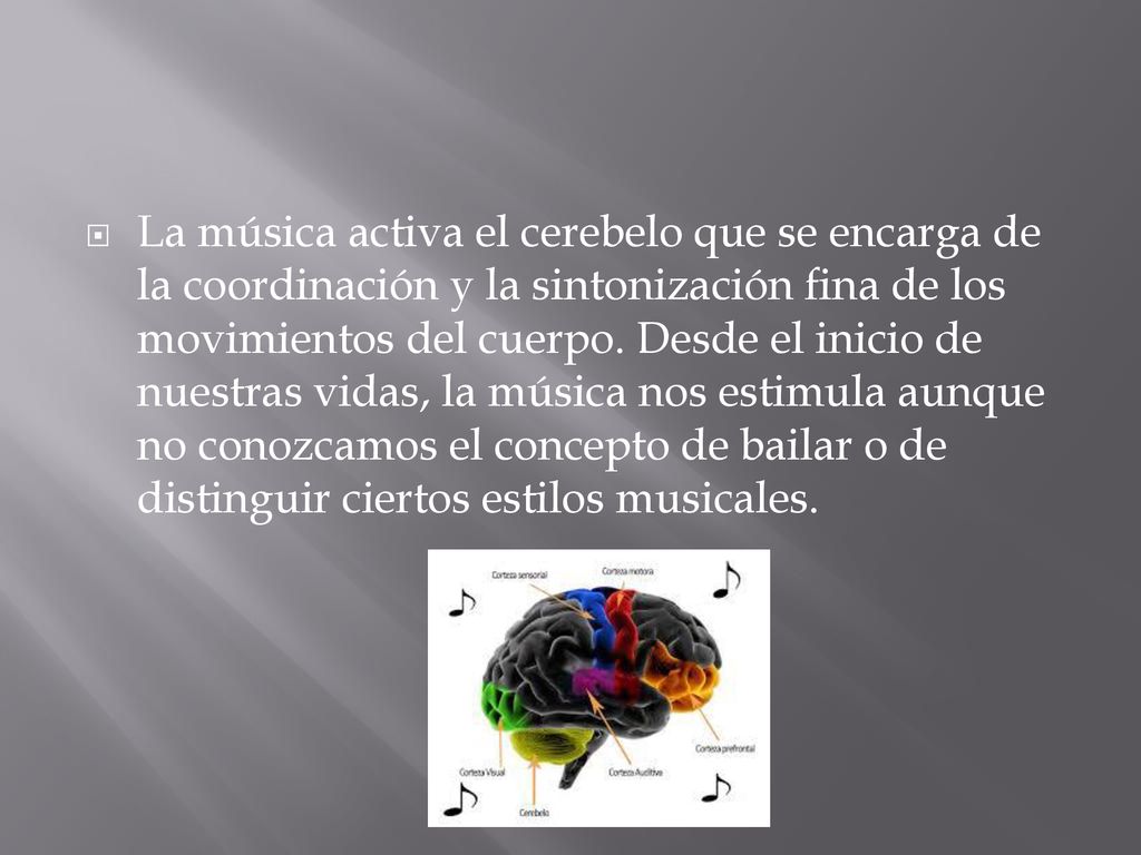 La música activa el cerebelo que se encarga de la coordinación y la sintonización fina de los movimientos del cuerpo.
