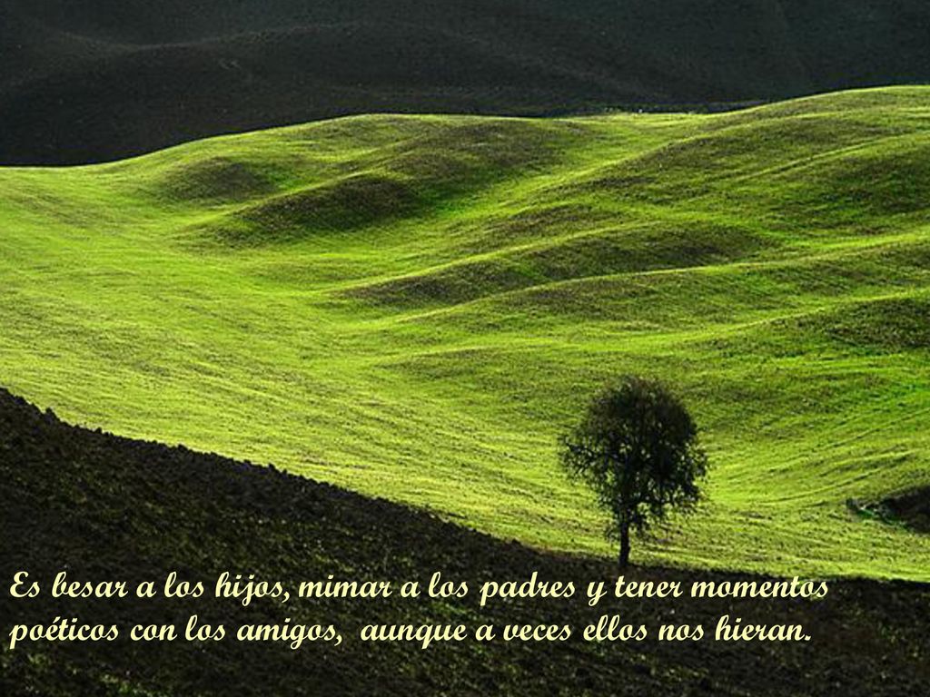 Es besar a los hijos, mimar a los padres y tener momentos poéticos con los amigos, aunque a veces ellos nos hieran.