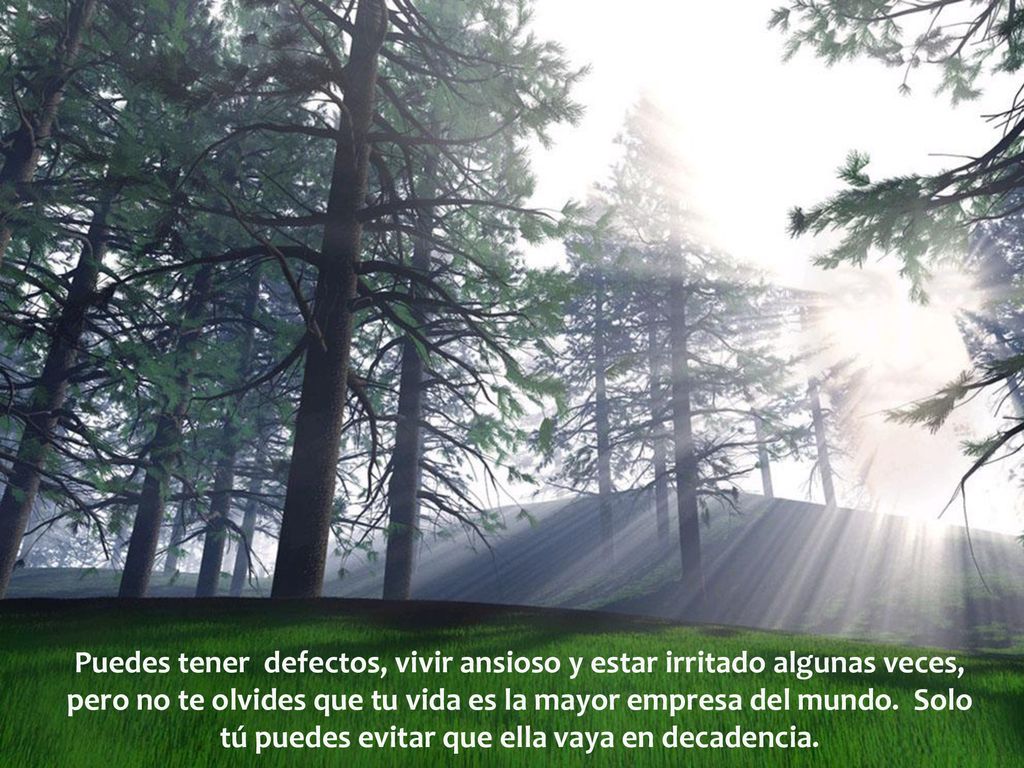 Puedes tener defectos, vivir ansioso y estar irritado algunas veces, pero no te olvides que tu vida es la mayor empresa del mundo.