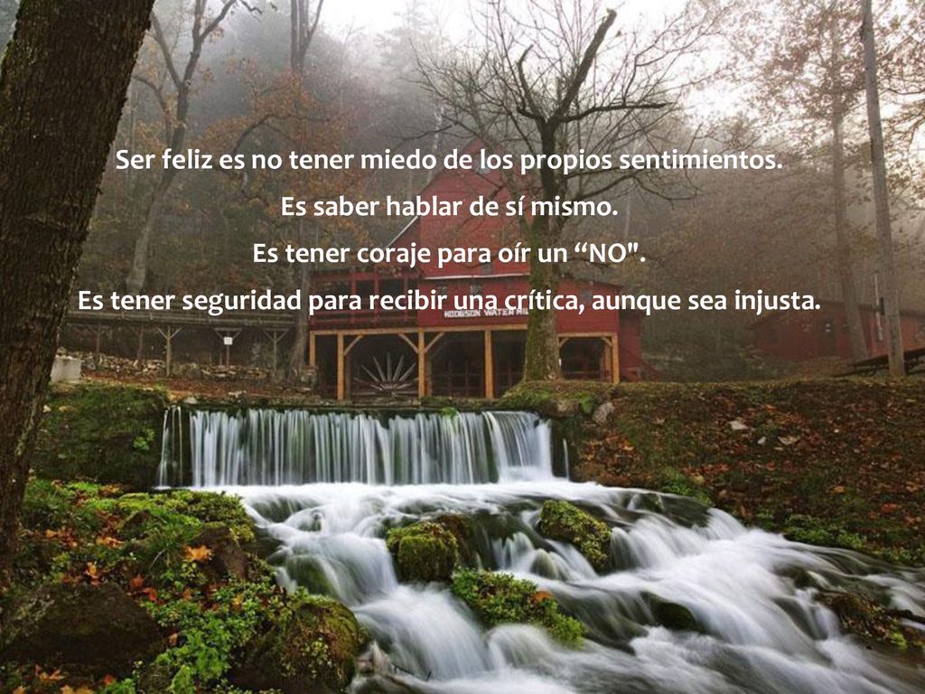 Ser feliz es no tener miedo de los propios sentimientos.