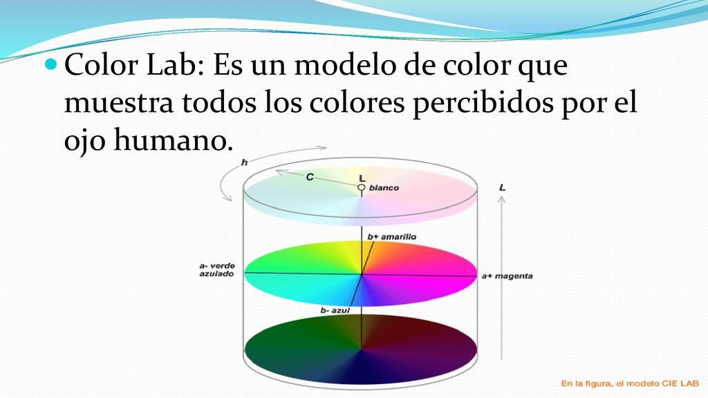 Color Lab: Es un modelo de color que muestra todos los colores percibidos por el ojo humano.
