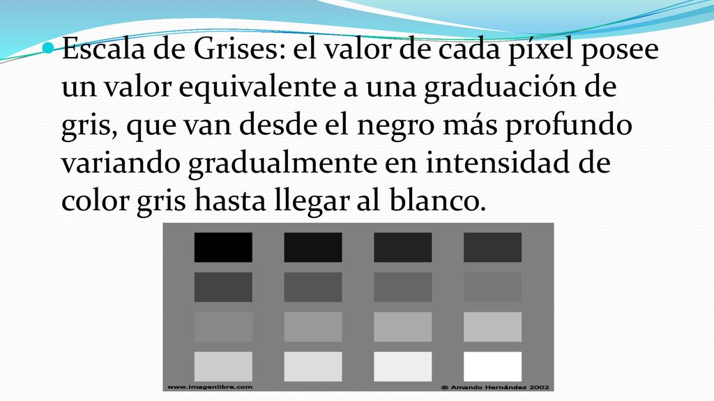 Escala de Grises: el valor de cada píxel posee un valor equivalente a una graduación de gris, que van desde el negro más profundo variando gradualmente en intensidad de color gris hasta llegar al blanco.