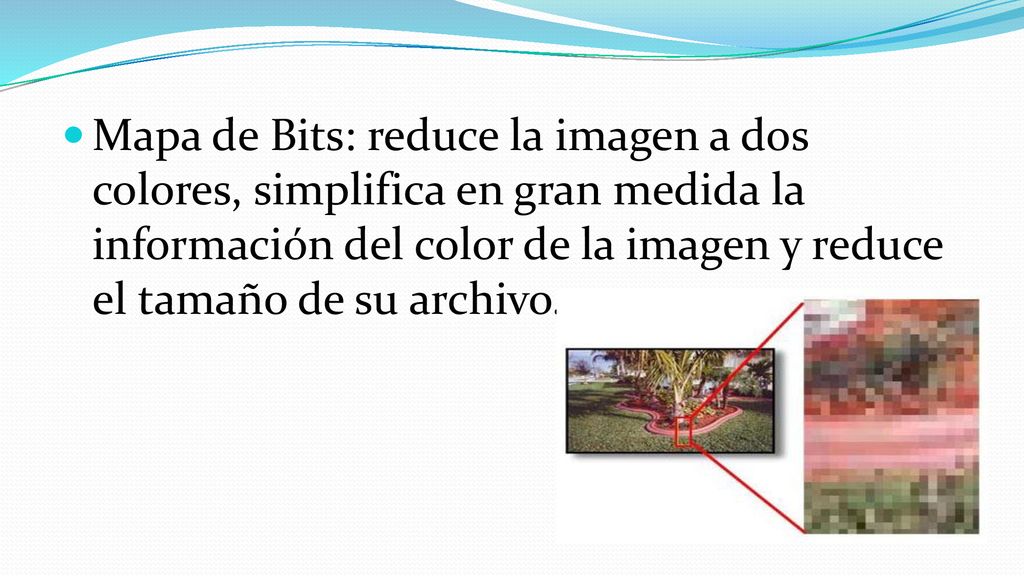 Mapa de Bits: reduce la imagen a dos colores, simplifica en gran medida la información del color de la imagen y reduce el tamaño de su archivo.