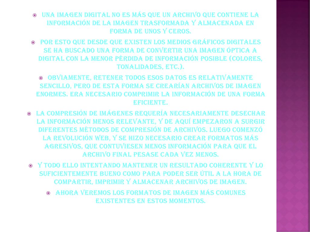 Una imagen digital no es más que un archivo que contiene la información de la imagen trasformada y almacenada en forma de unos y ceros.