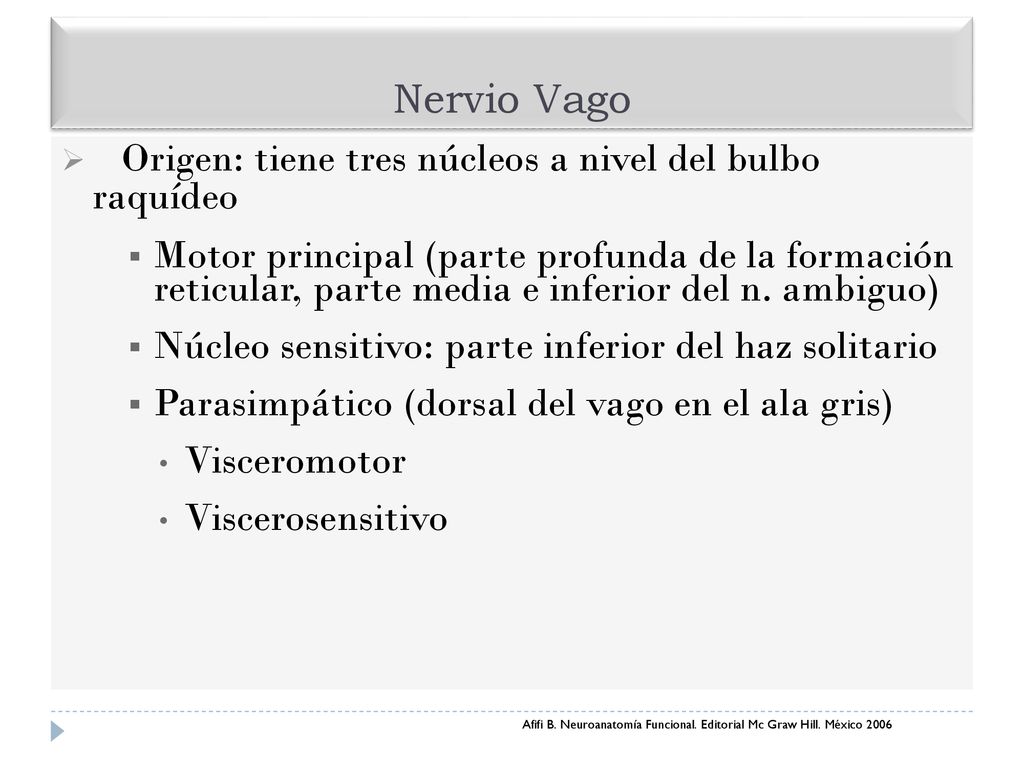 Nervio Vago Origen: tiene tres núcleos a nivel del bulbo raquídeo