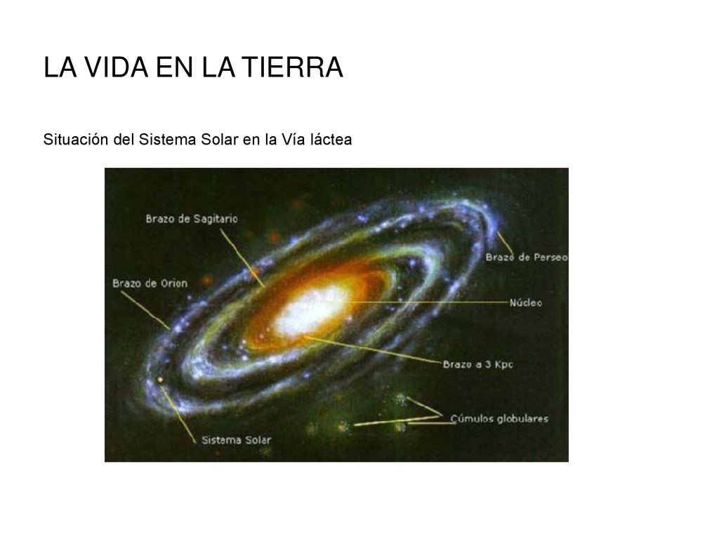 LA VIDA EN LA TIERRA Situación del Sistema Solar en la Vía láctea