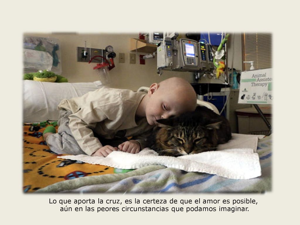 Lo que aporta la cruz, es la certeza de que el amor es posible,