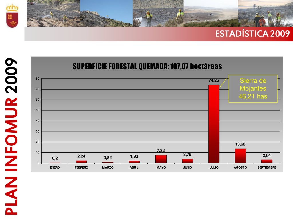 PLAN INFOMUR 2009 ESTADÍSTICA 2009 Sierra de Mojantes 46,21 has