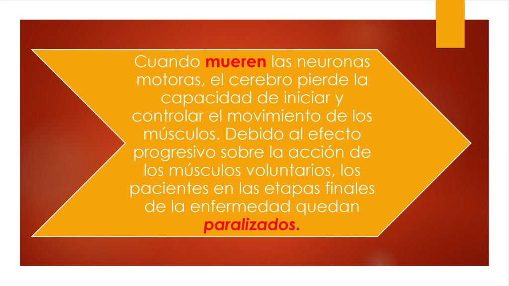 Cuando mueren las neuronas motoras, el cerebro pierde la capacidad de iniciar y controlar el movimiento de los músculos.