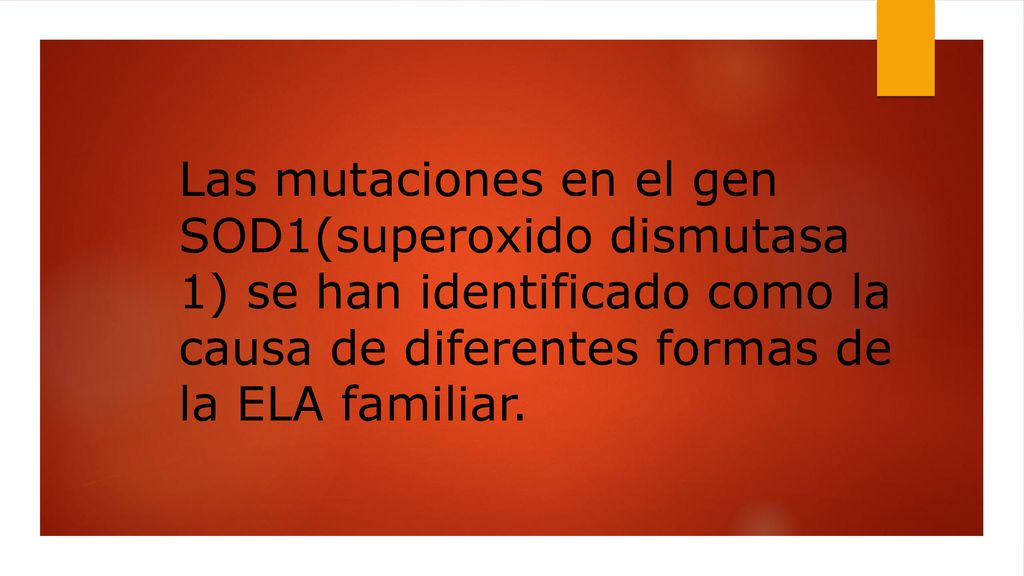 Las mutaciones en el gen SOD1(superoxido dismutasa 1) se han identificado como la causa de diferentes formas de la ELA familiar.