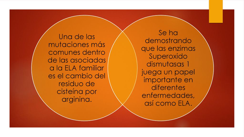 Una de las mutaciones más comunes dentro de las asociadas a la ELA familiar es el cambio del residuo de cisteína por arginina.