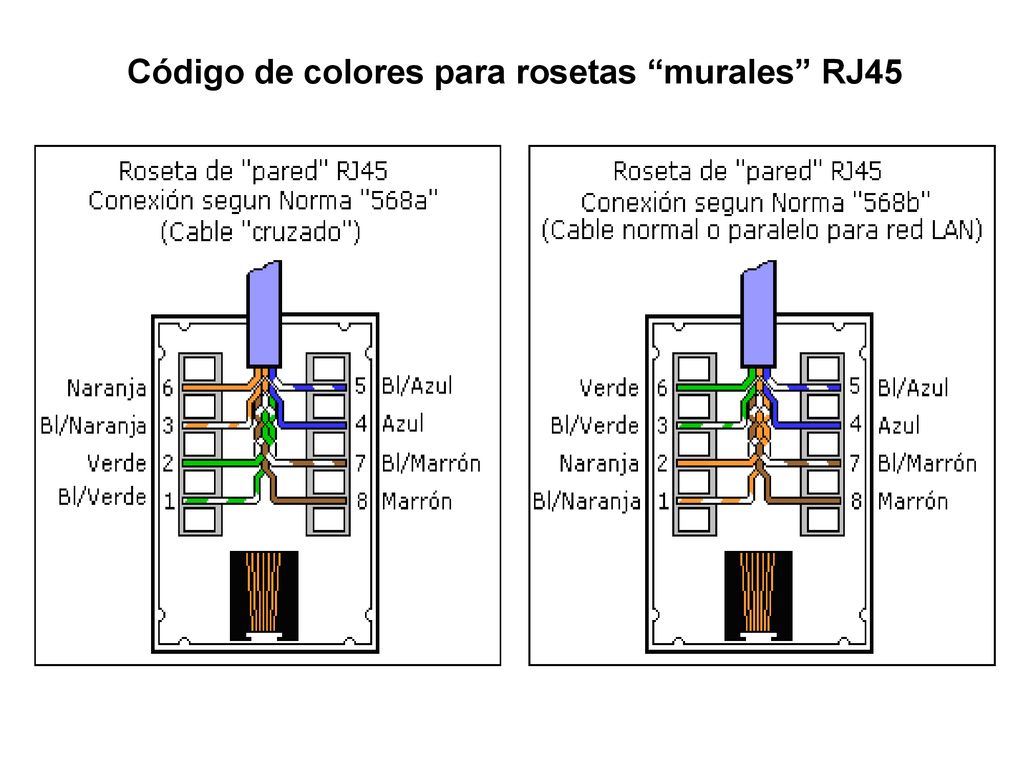 Código de colores para rosetas murales RJ45