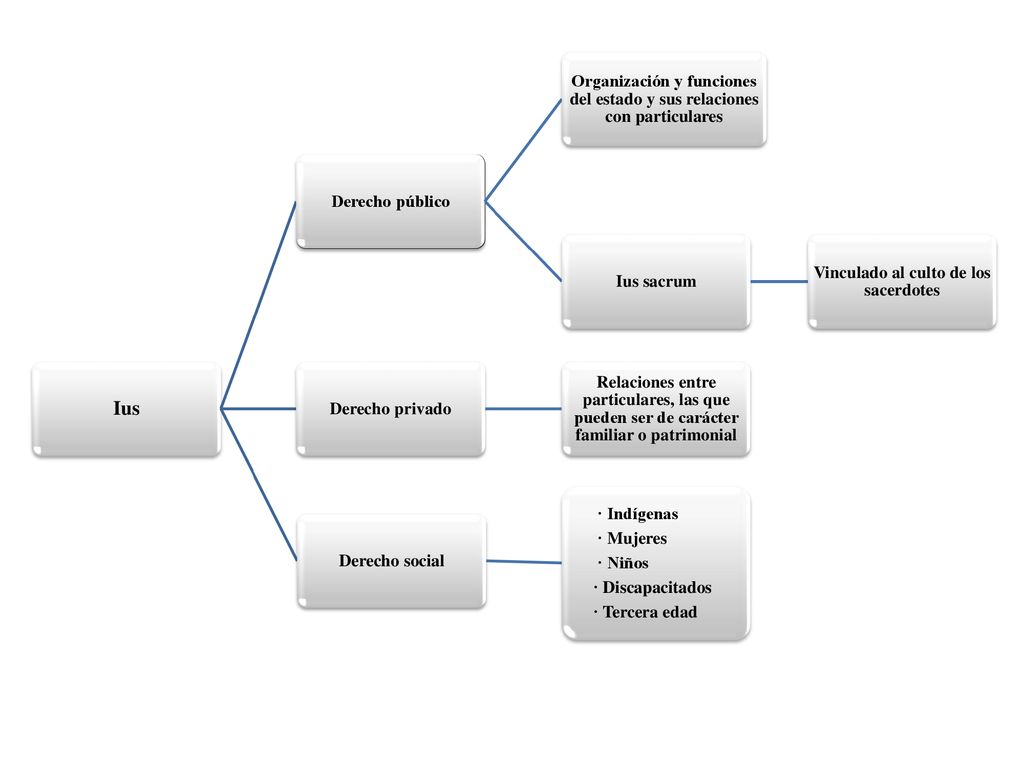 Ius Derecho público. Organización y funciones del estado y sus relaciones con particulares. Ius sacrum.