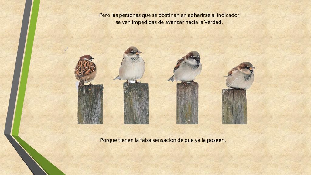 Pero las personas que se obstinan en adherirse al indicador