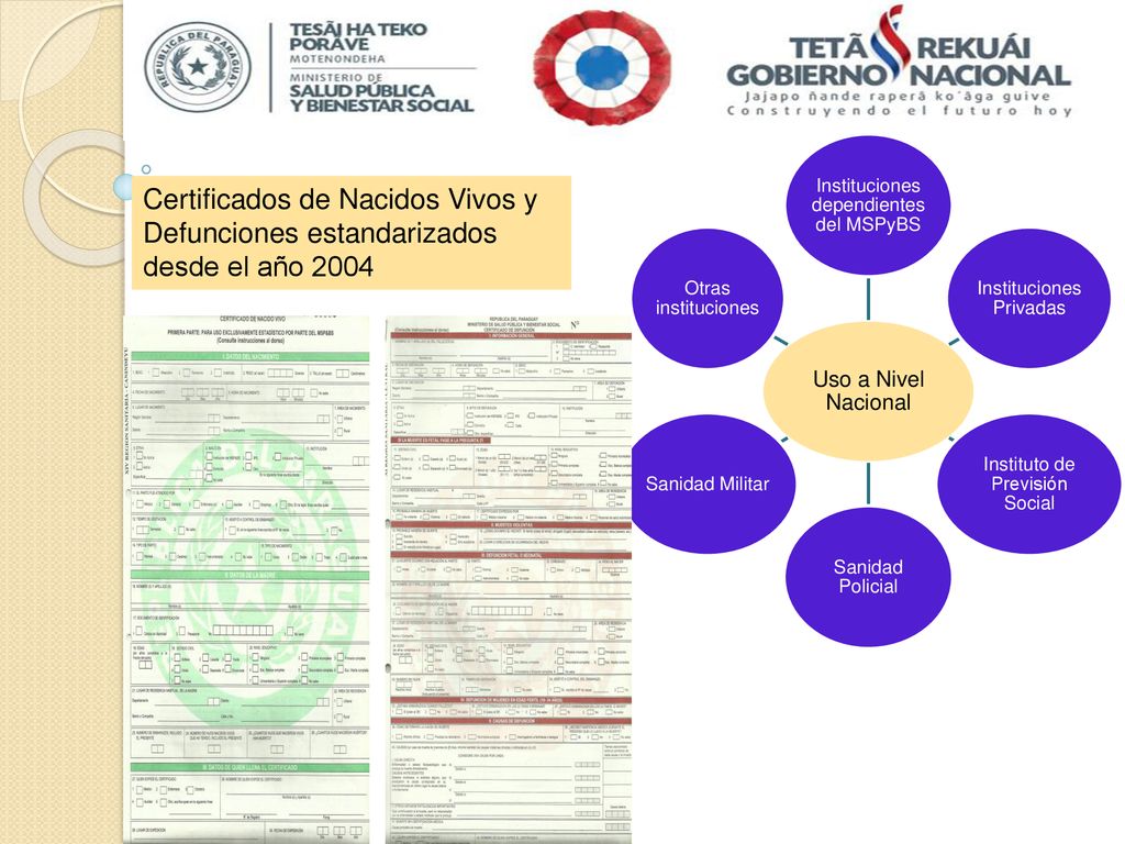 Uso a Nivel Nacional Instituciones dependientes del MSPyBS. Instituciones Privadas. Instituto de Previsión Social.