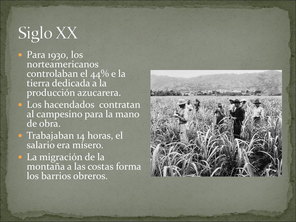 Siglo XX Para 1930, los norteamericanos controlaban el 44% e la tierra dedicada a la producción azucarera.