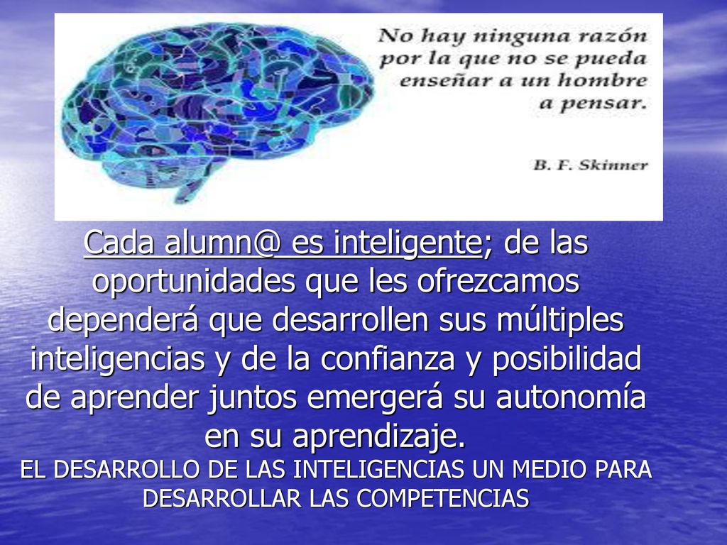 Cada es inteligente; de las oportunidades que les ofrezcamos dependerá que desarrollen sus múltiples inteligencias y de la confianza y posibilidad de aprender juntos emergerá su autonomía en su aprendizaje.