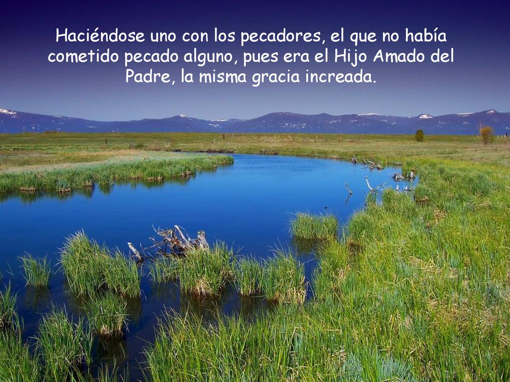 Haciéndose uno con los pecadores, el que no había cometido pecado alguno, pues era el Hijo Amado del Padre, la misma gracia increada.