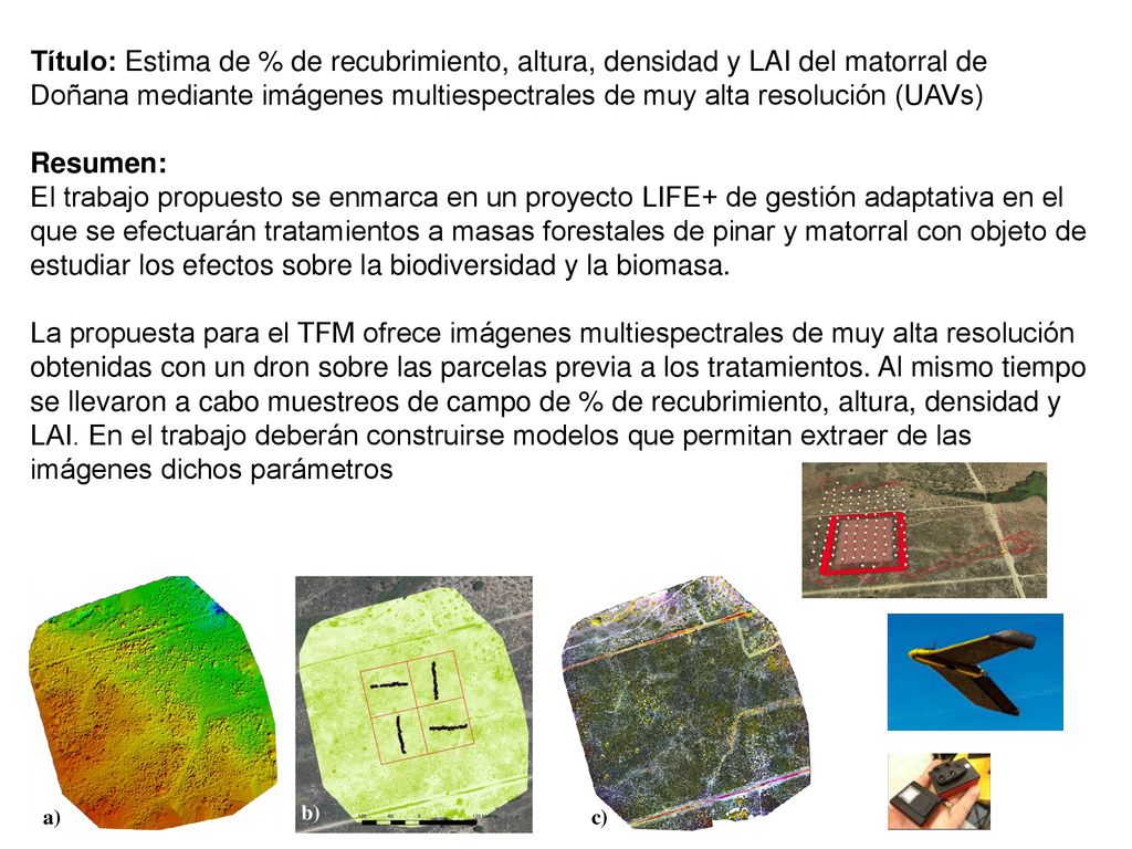 Título: Estima de % de recubrimiento, altura, densidad y LAI del matorral de Doñana mediante imágenes multiespectrales de muy alta resolución (UAVs)
