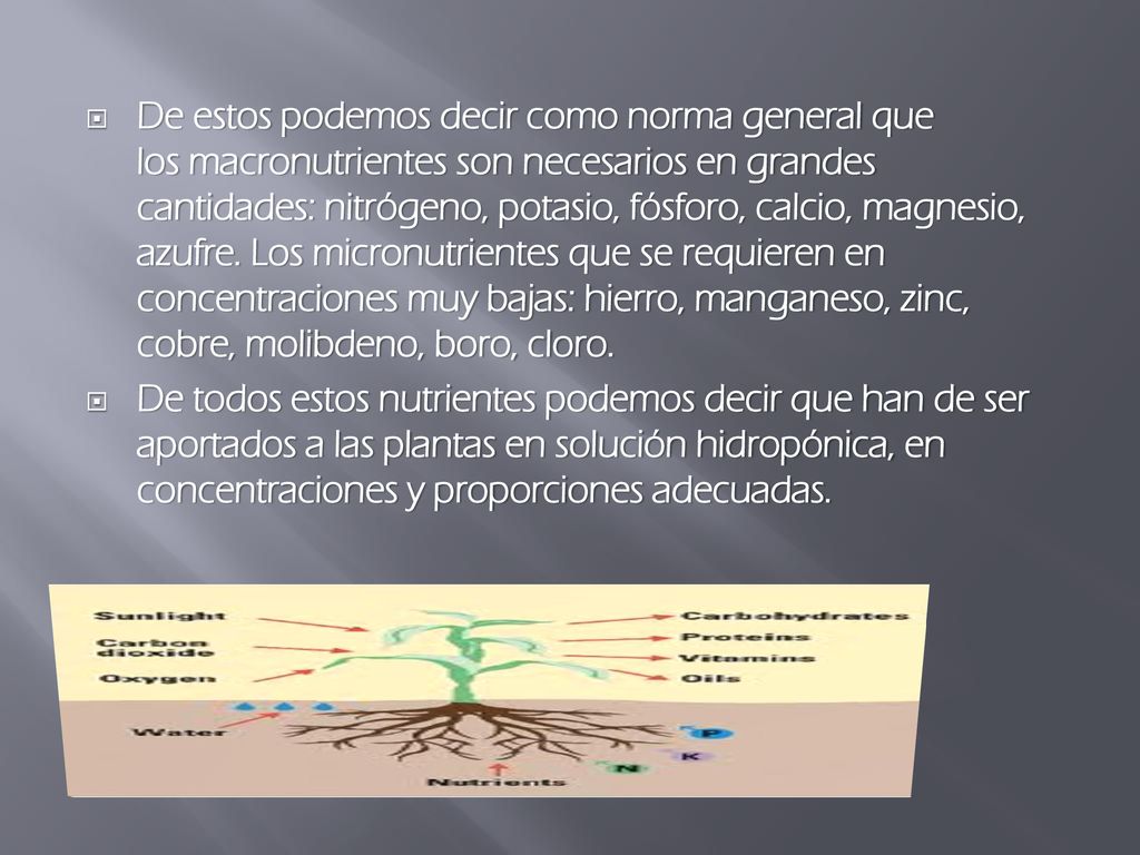 De estos podemos decir como norma general que los macronutrientes son necesarios en grandes cantidades: nitrógeno, potasio, fósforo, calcio, magnesio, azufre. Los micronutrientes que se requieren en concentraciones muy bajas: hierro, manganeso, zinc, cobre, molibdeno, boro, cloro.