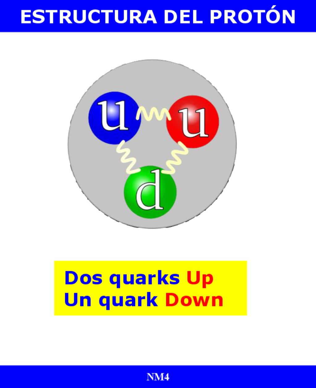 ESTRUCTURA DEL PROTÓN Dos quarks Up Un quark Down NM4